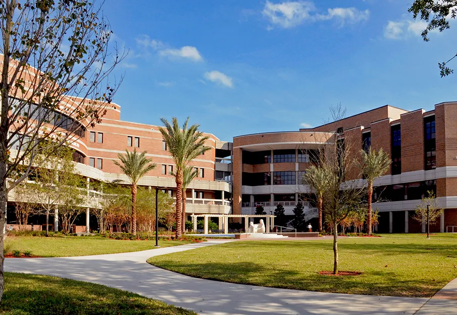 Medical Developments in Palm Coast: A Hub for Healthcare Professionals