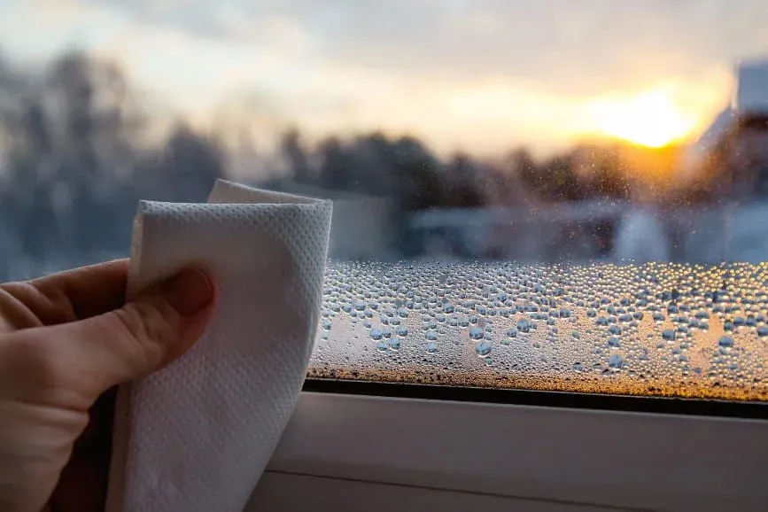 Mold & habitability playbook: documenting humidity issues in coastal Boca/Deerfield and in Palm Coast homes with enclosed lanais