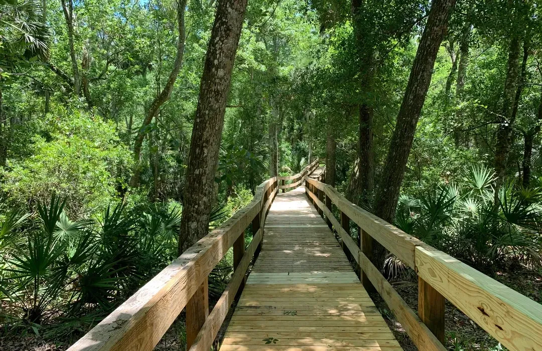 Palm Coast Neighborhoods for People Who Love Parks, Bikes, and Peaceful Evenings