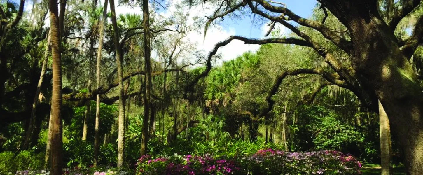 Washington Oaks Gardens State Park