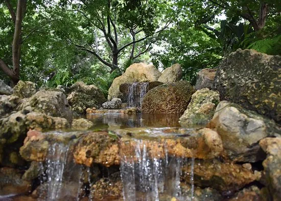 The Best Parks and Nature Spots Near Deerfield Beach Rentals