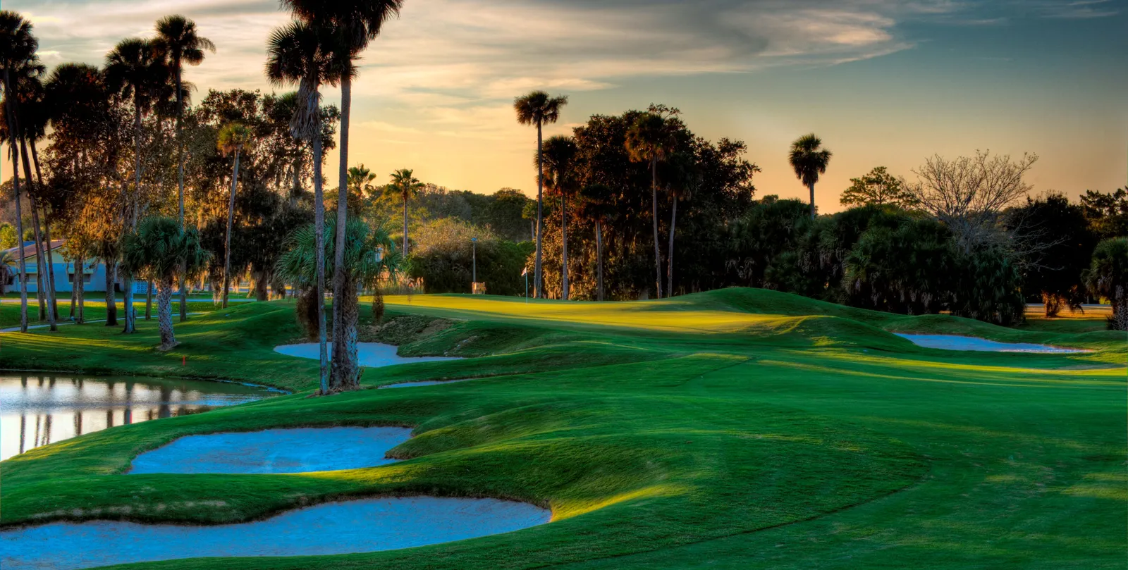 rent a house near Palm Harbor Golf Club