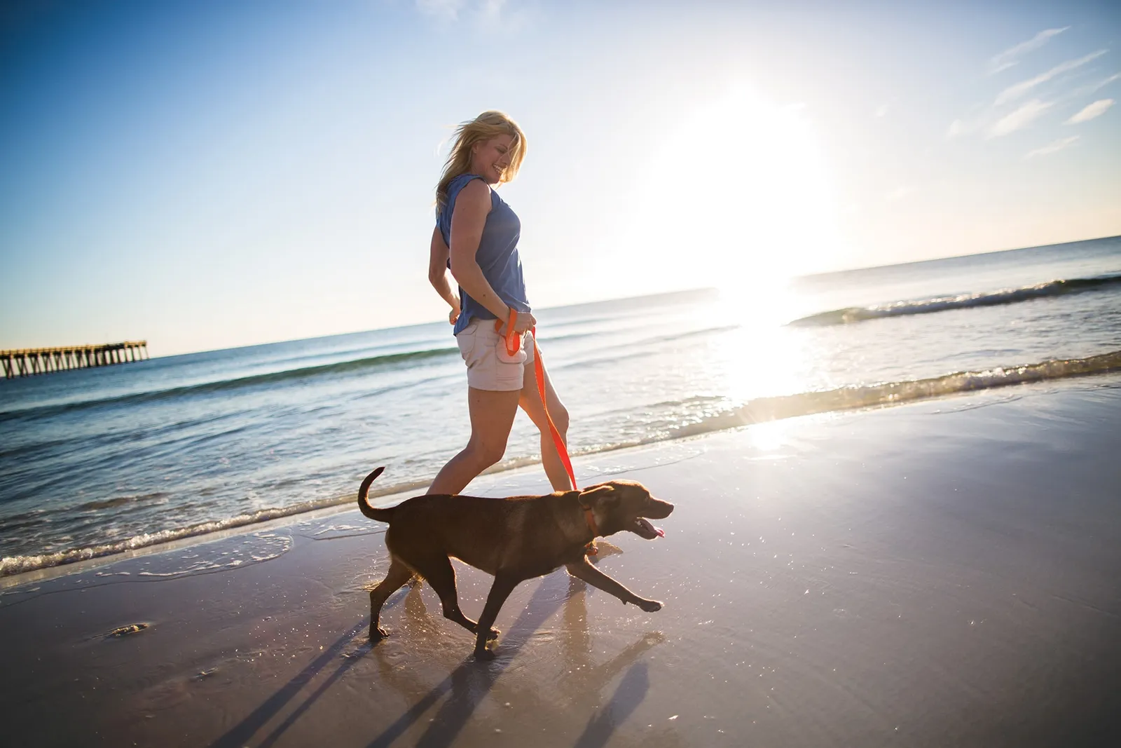 Dog-Friendly Rentals and Walks: Best Places to Live with a Pet Near the Ocean