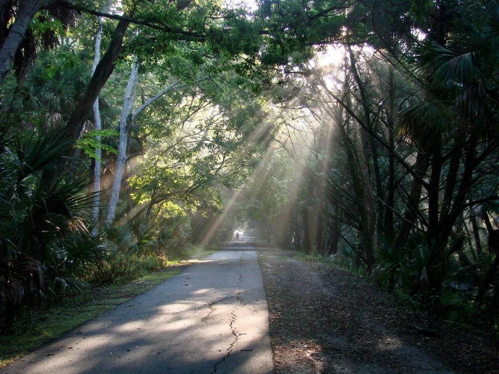 Palm Coast Linear Park