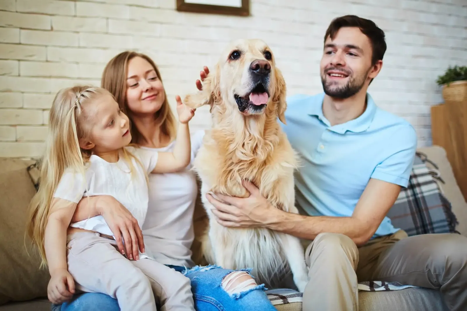  Know What Matters to You & Your Pet Before You Rent