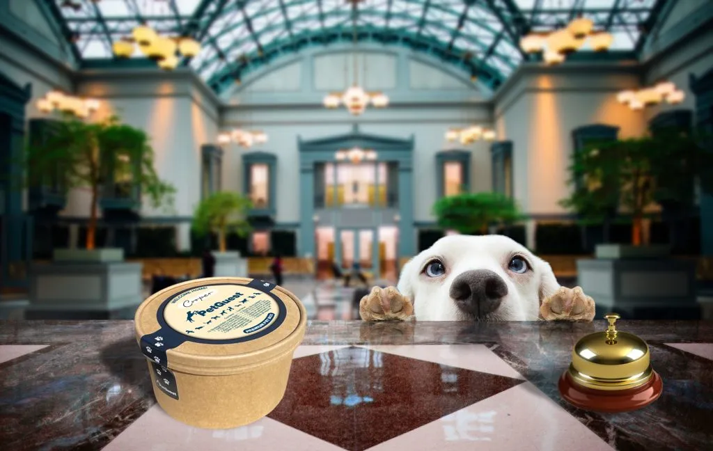 pet friendly amenities