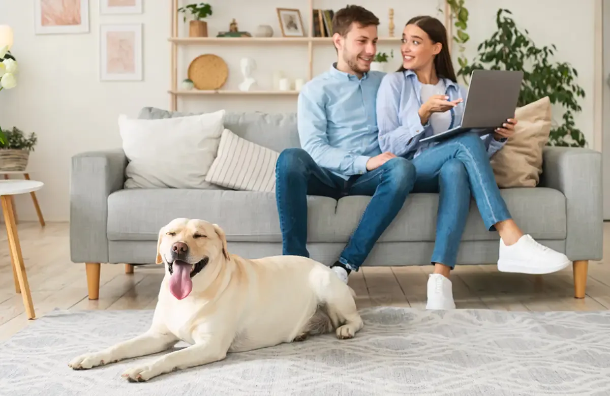 Where Pets May Go: Common Areas vs. Private Units in Deerfield Beach HOAs and Condos