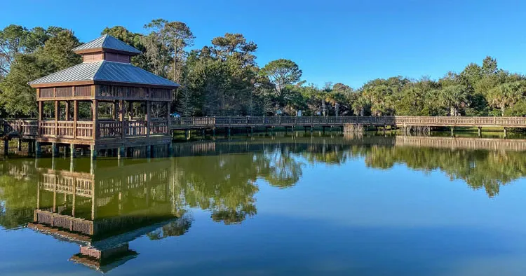 Bird Island kayaking rent in palm coast