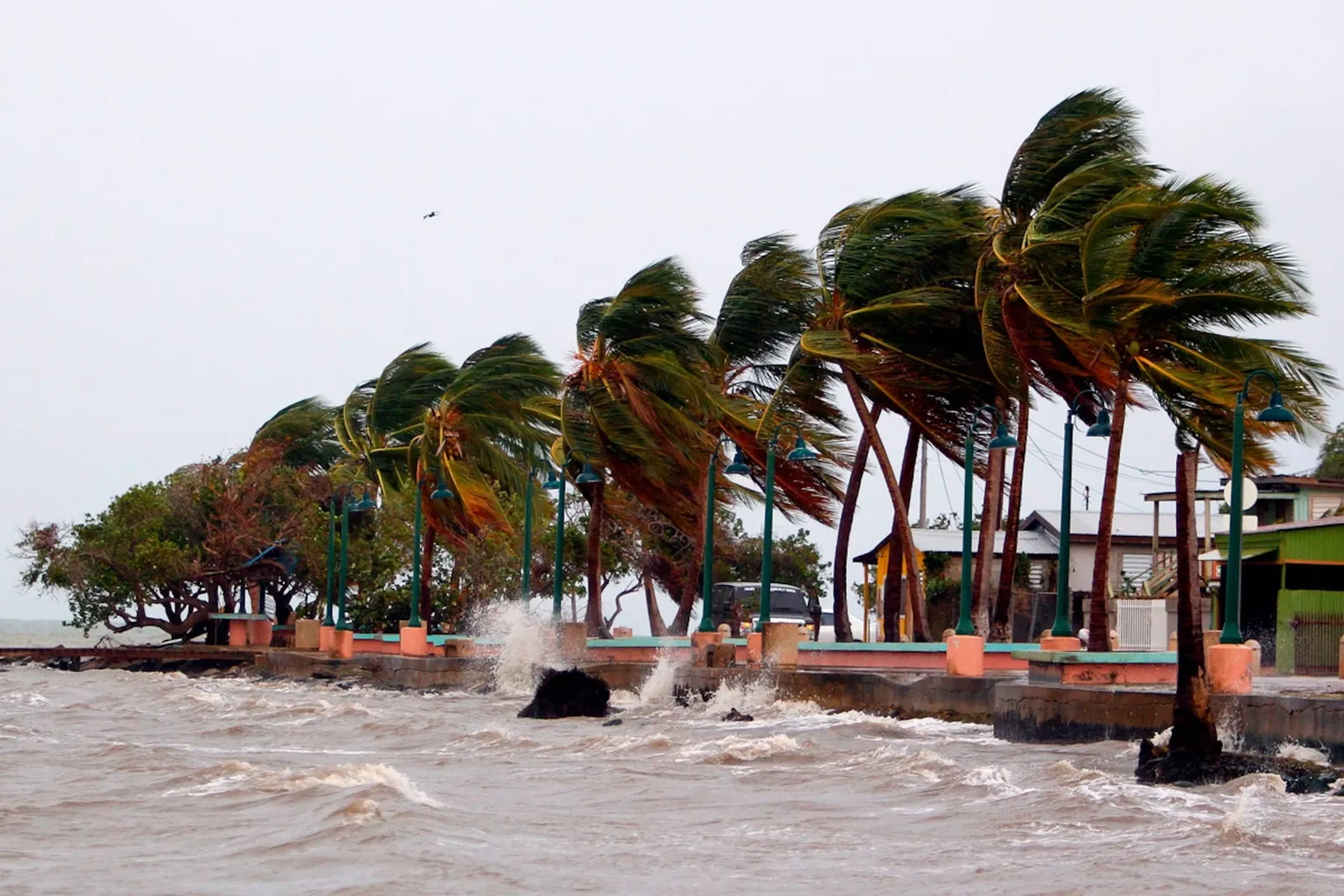 Wind and hurricane damage (wind, flying debris, some water damage)