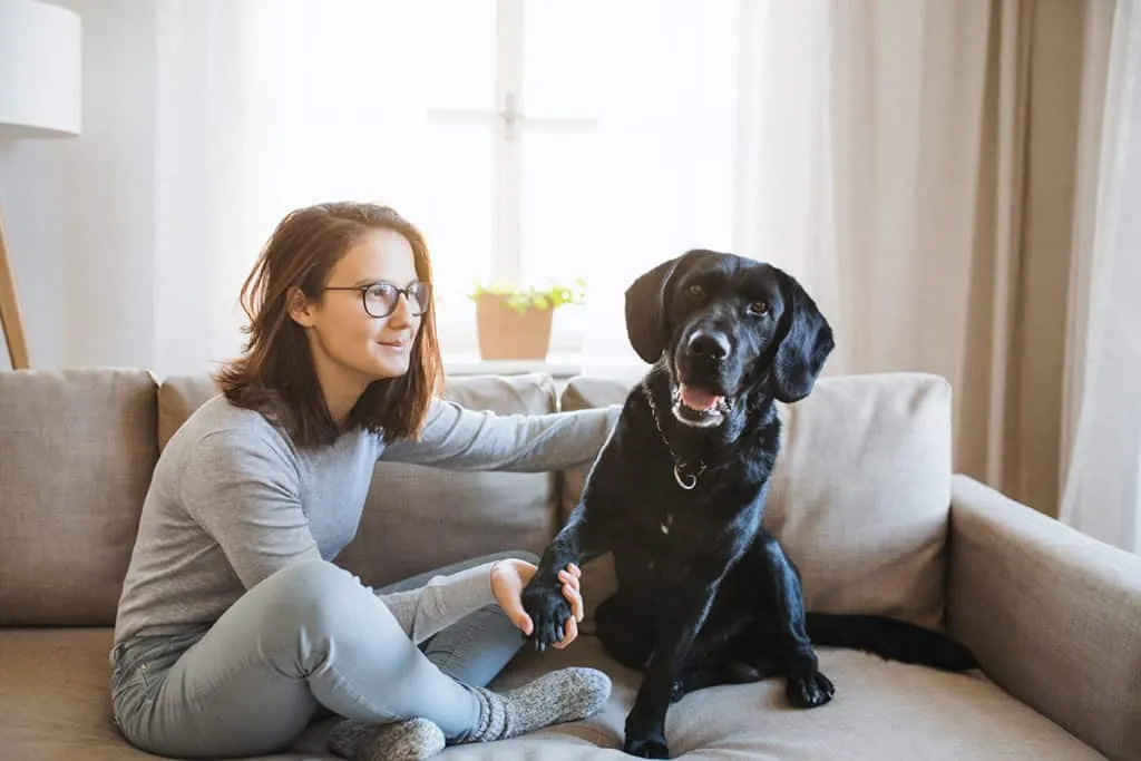 Pet-Friendly Policies