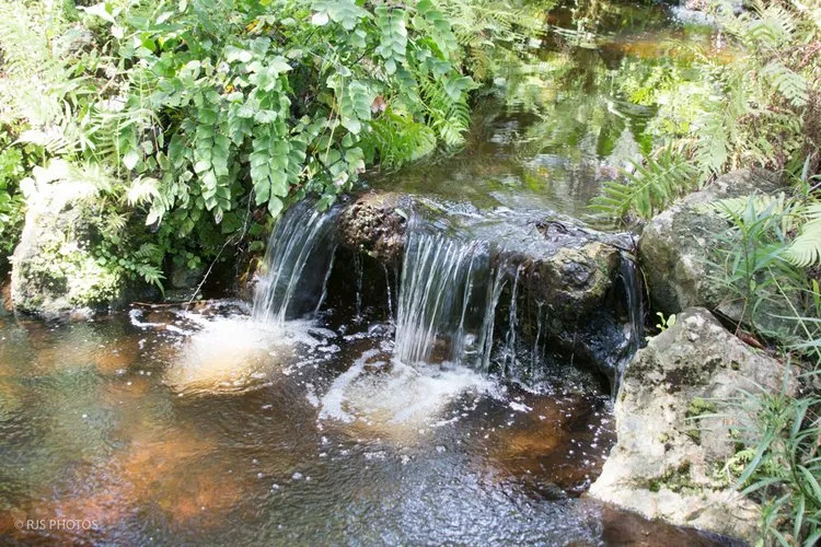 The Best Parks and Nature Spots Near Deerfield Beach Rentals