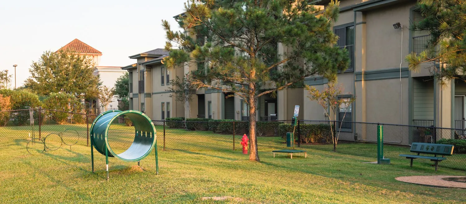 Access to Dog Parks Matters for Renters in Palm Coast