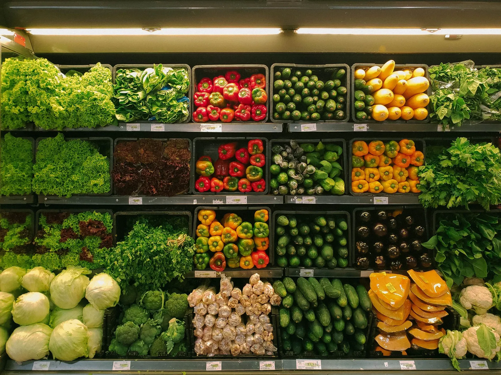grocery store deerfield beach