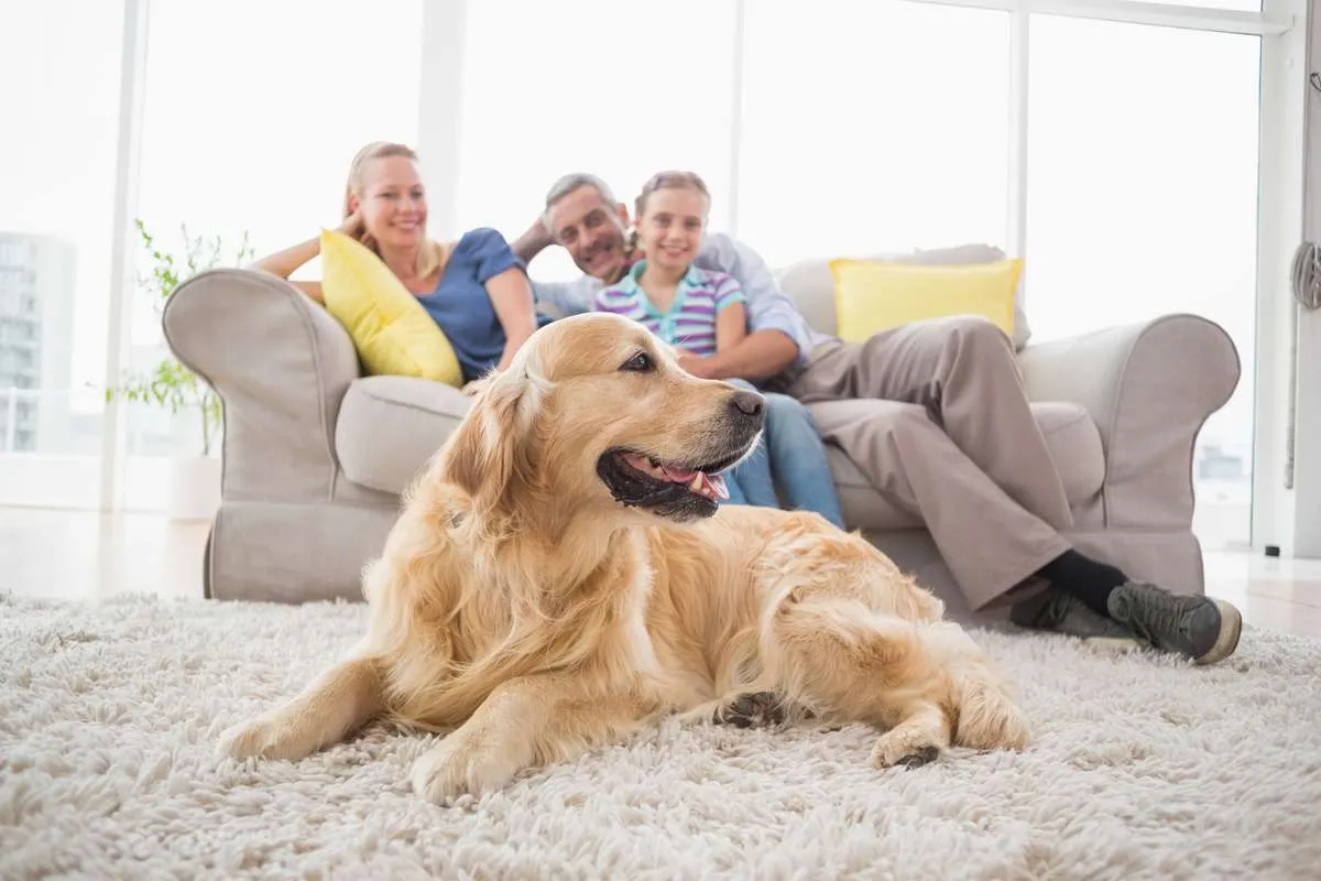  Understand Who Maintains the Yard When Renting With a Dog