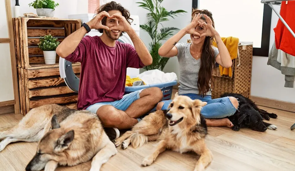 Rentals designed for pet owners and their companions
