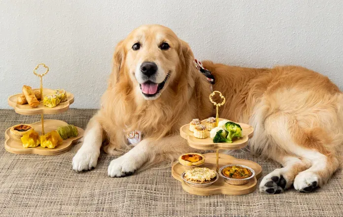 Palm Harbor in Palm Coast Appeals to Large Dog Owners