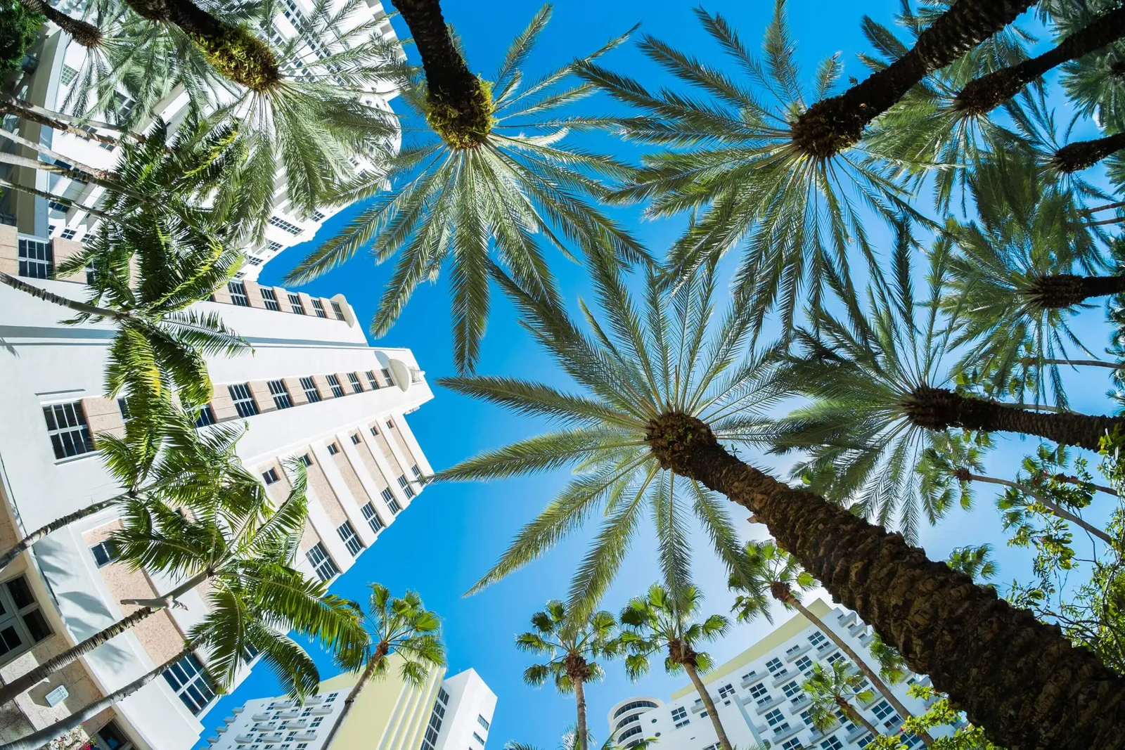 Reasonableness and Enforcement in Florida HOAs and Condos