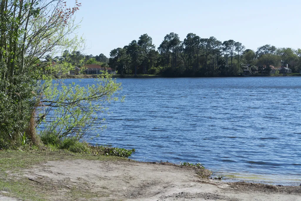 Bird of Paradise Nature Preserve in Palm Coast