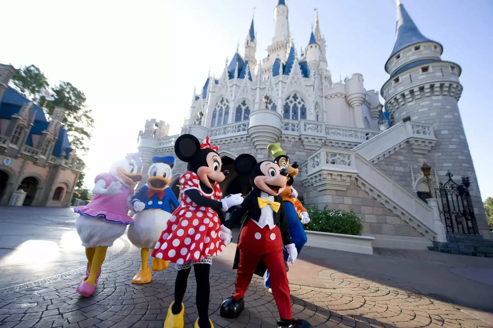 Orlando: A Playground for the Bold