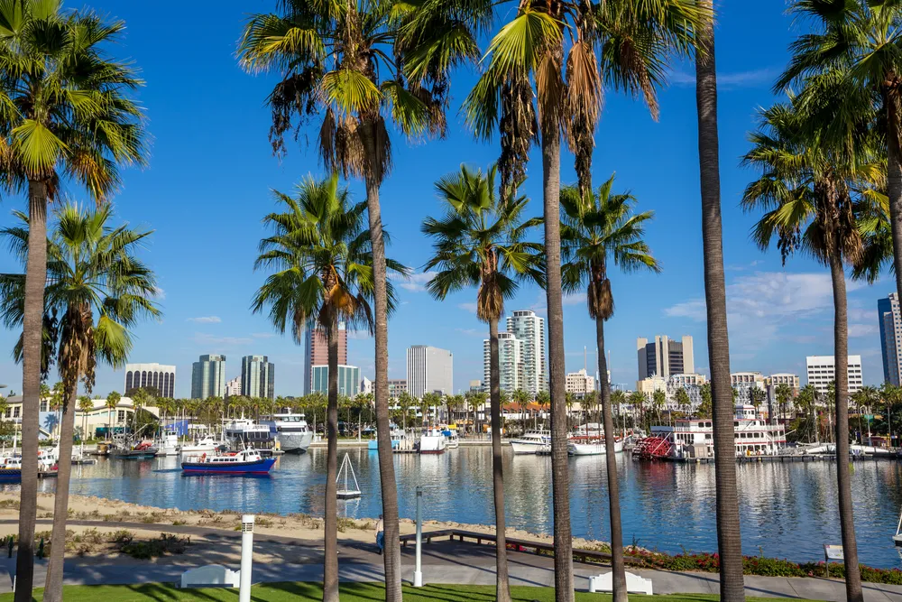 Beyond just affordable rent, Palm Coast stands out for its lower overall cost of living