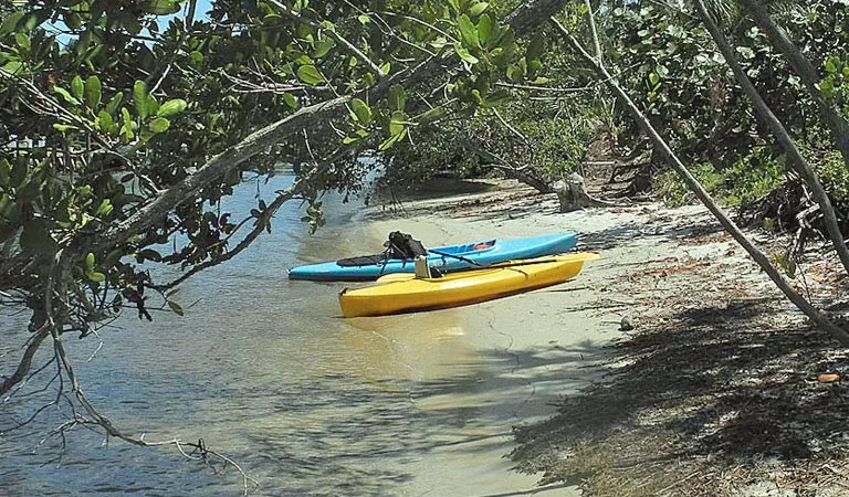 Deerfield Island Park Kayaking
