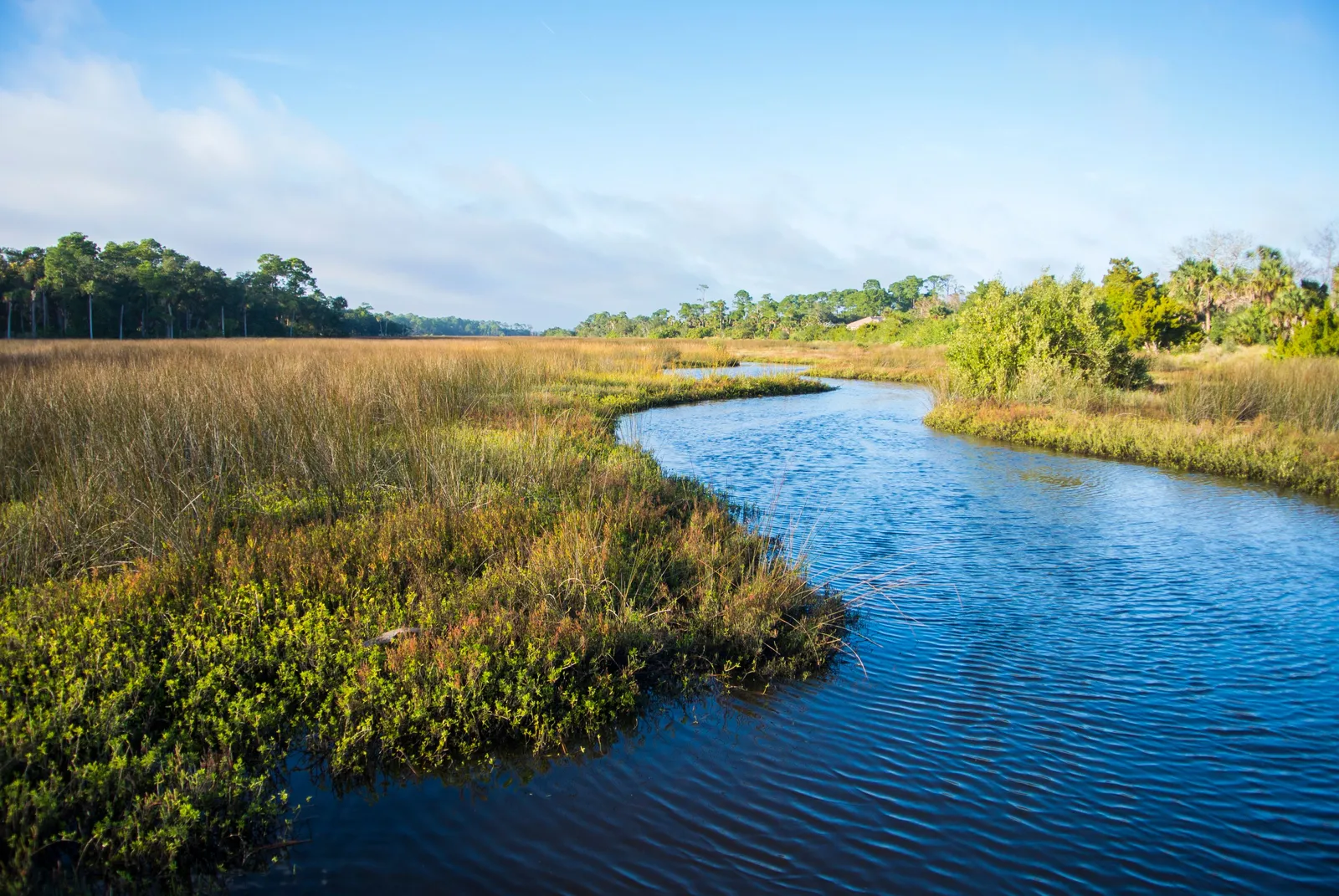 Long Creek Nature Preserve