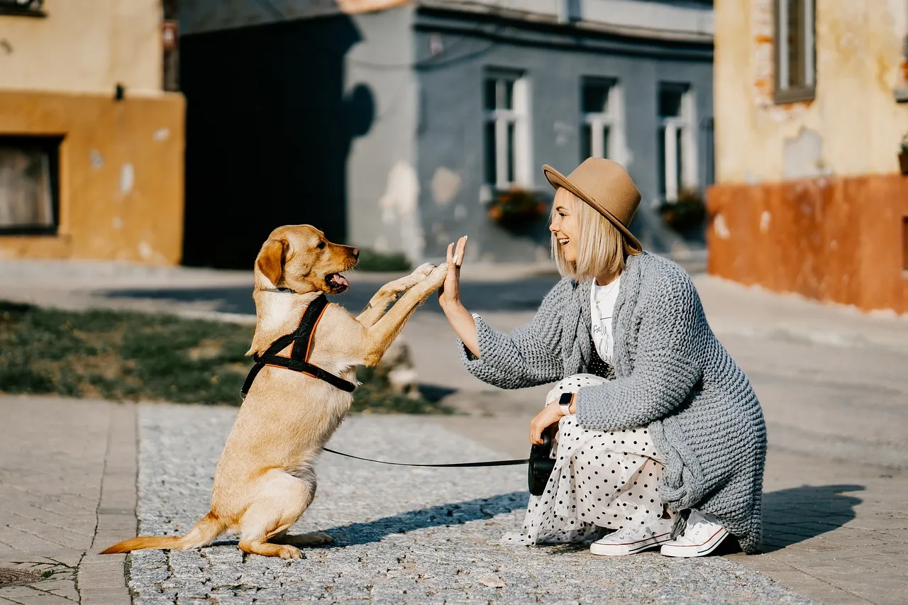 Consider the Neighborhood Environment When Renting With a Dog