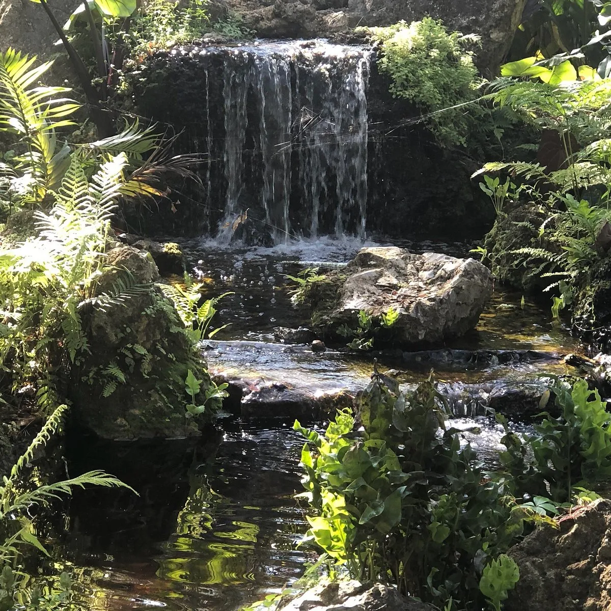Constitution Park & Arboretum: A Peaceful Green Space for Deerfield Beach Renters