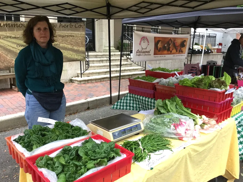 The Hammock Farmers Market