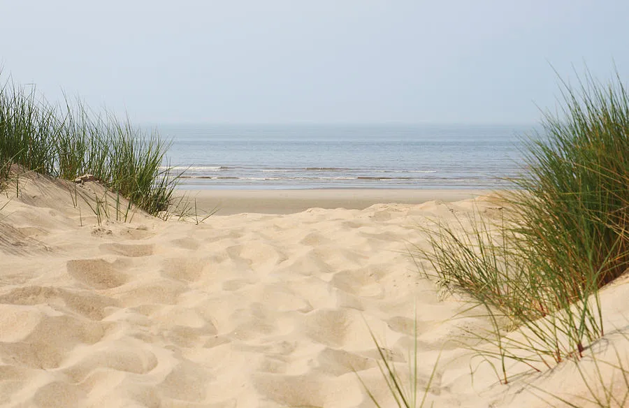 Desert Dune