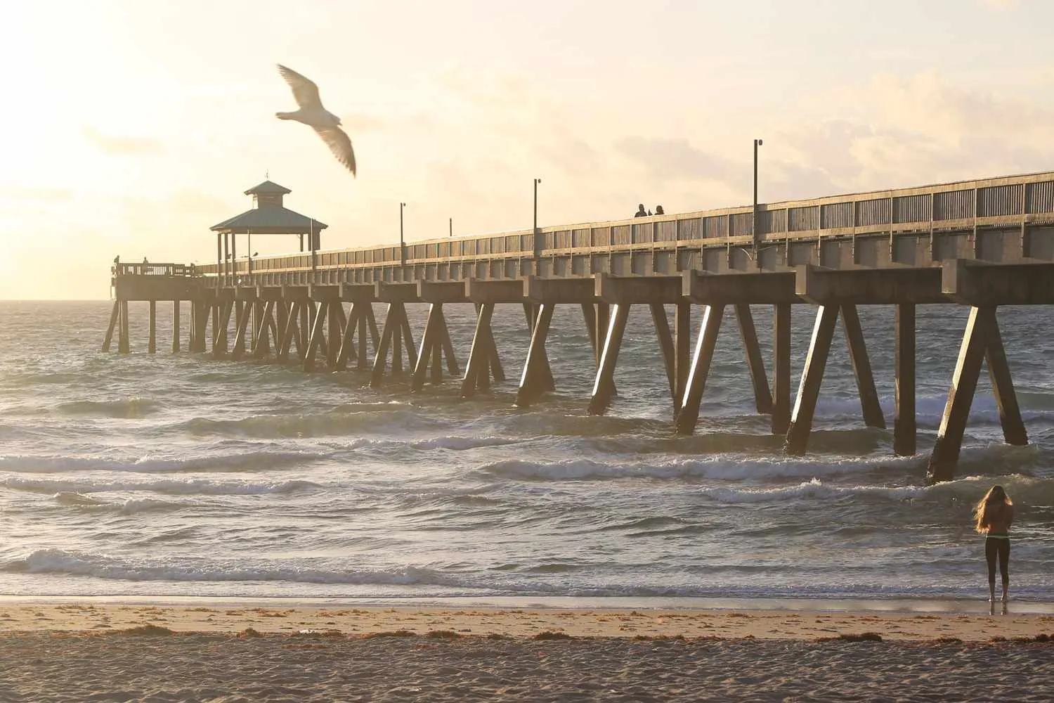 Deerfield Beach: Coastal Fishing at Its Finest