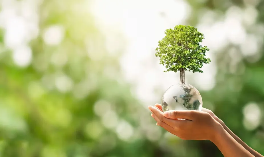 Environmental Comfort and Energy Efficiency