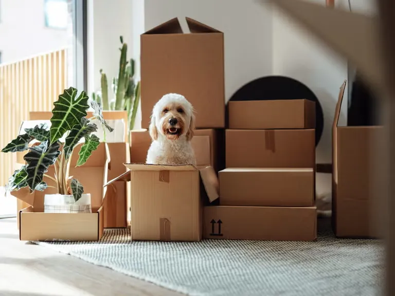 Home on the Move