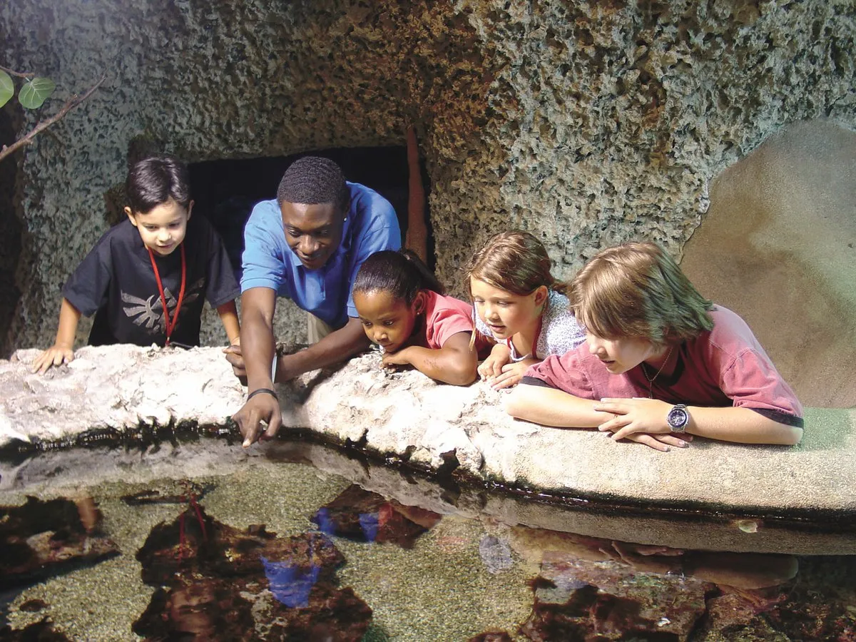 Discover Children’s Museums and Science Centers