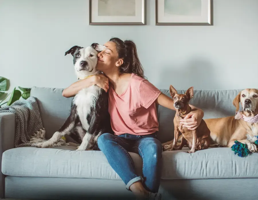 Budget Beyond Rent When Renting with Pets