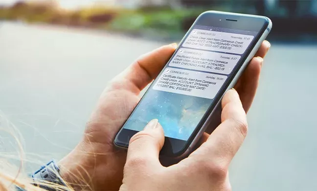 Set Up Alerts and Act Fast