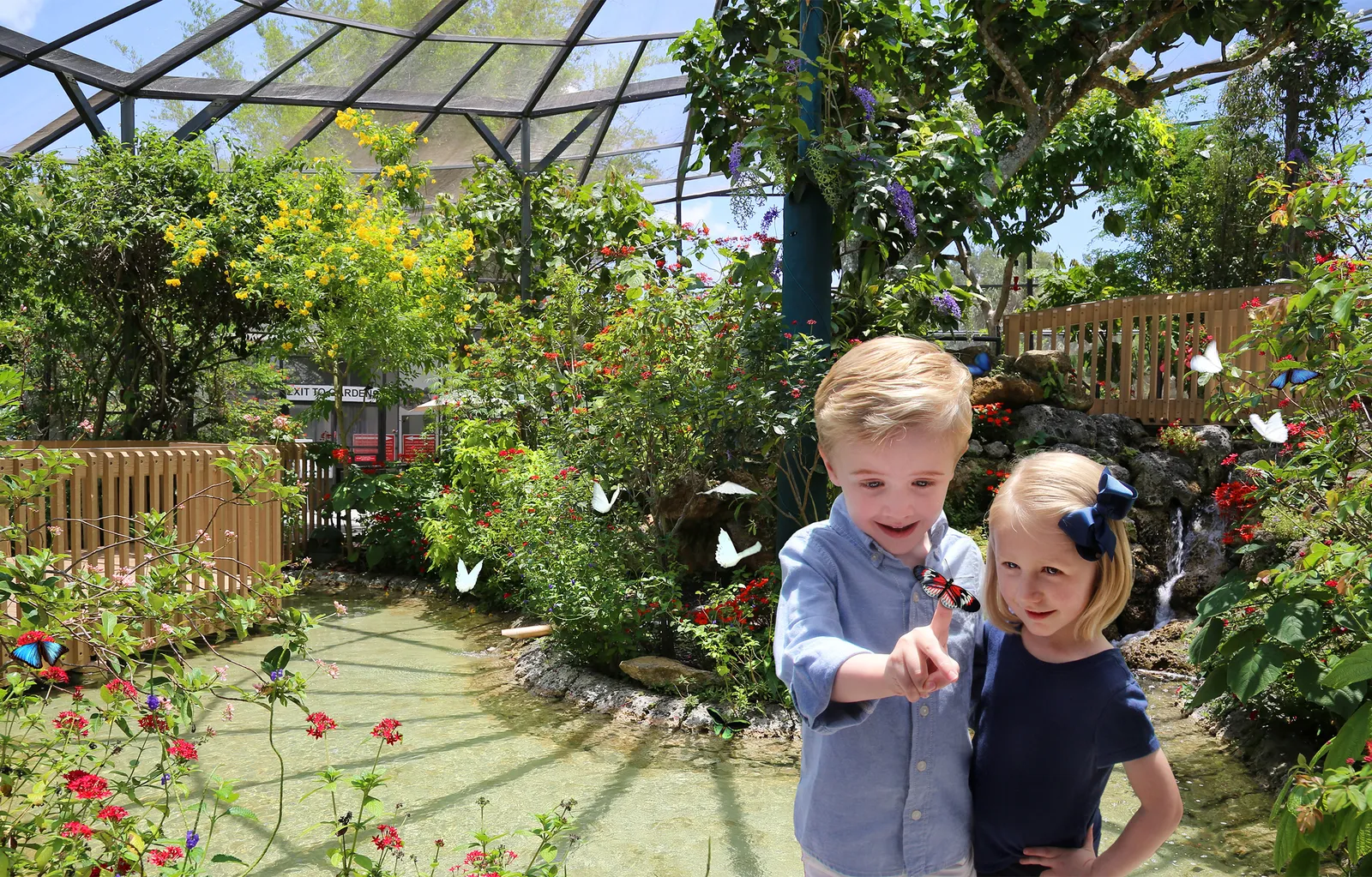 Butterfly world