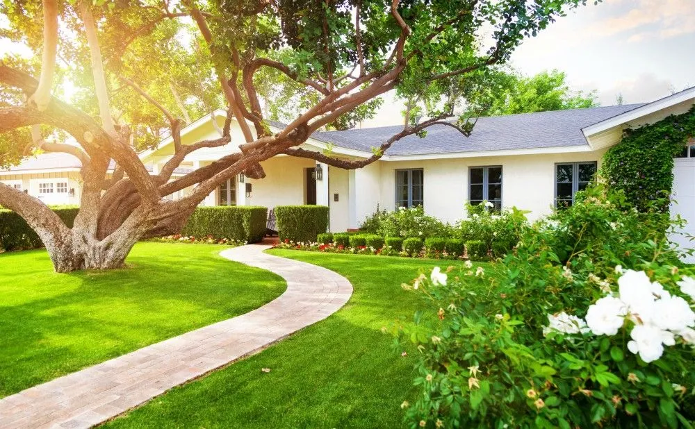 Stay Compliant with Local Guidelines: Gardening the Right Way in Florida