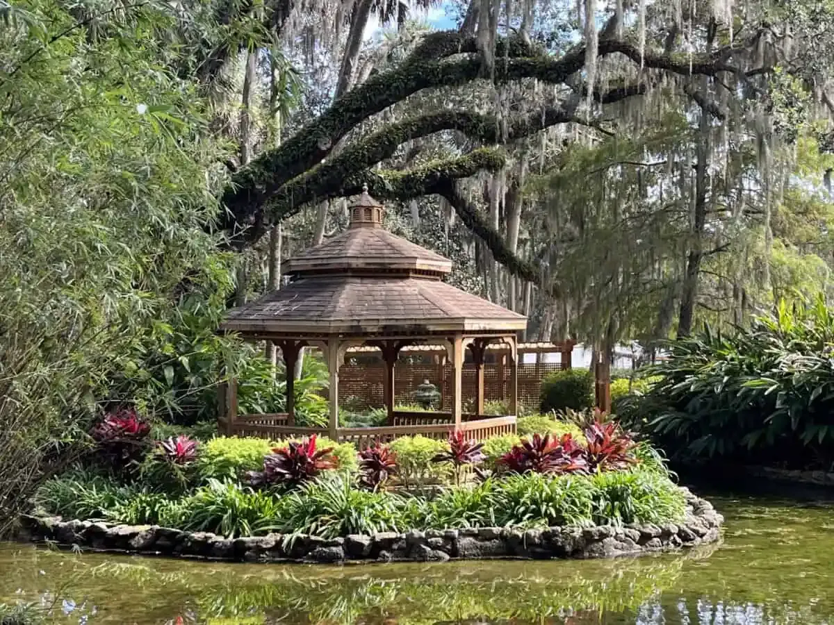 Palm Coast trails and parks: Lehigh Trail, Graham Swamp, and Washington Oaks Gardens
