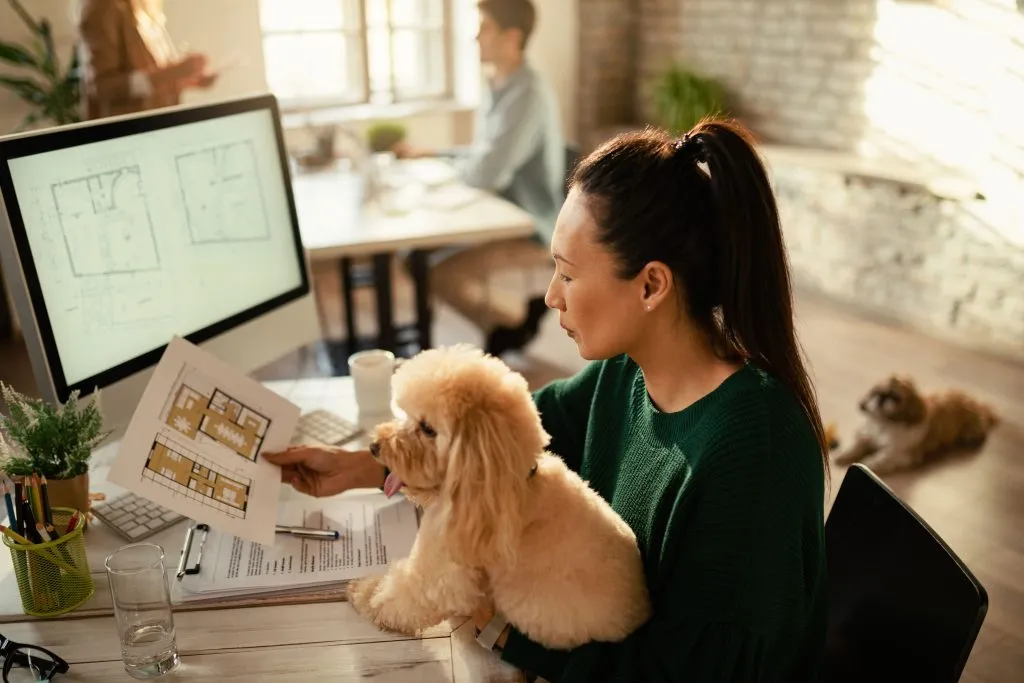  The Future of Pet-Friendly Rentals