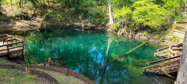 Enjoying the Natural Beauty of Florida: What to Expect and How to Prepare