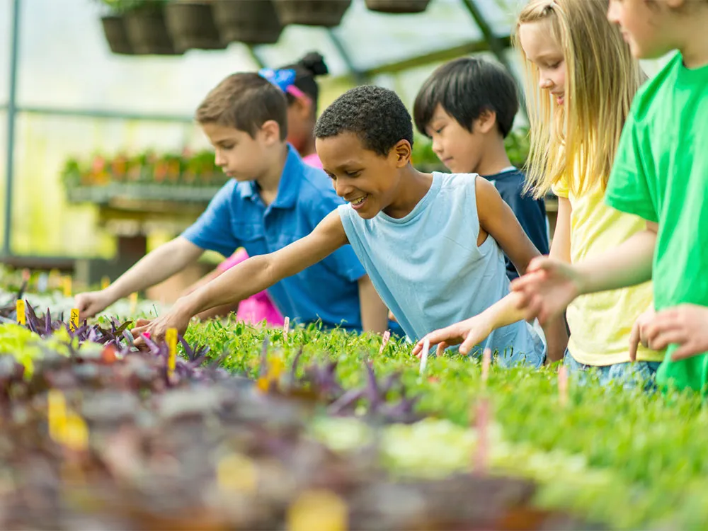 Get Involved in the Community: Helping Kids Build Connections After a Move