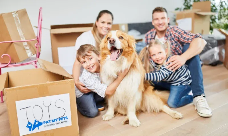 Renting with Pets: Creating a Pet-Friendly Life in a New City