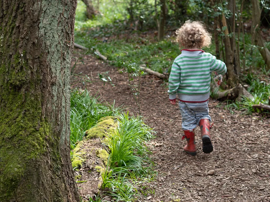 Renting Near Nature Trails and Outdoor Playground