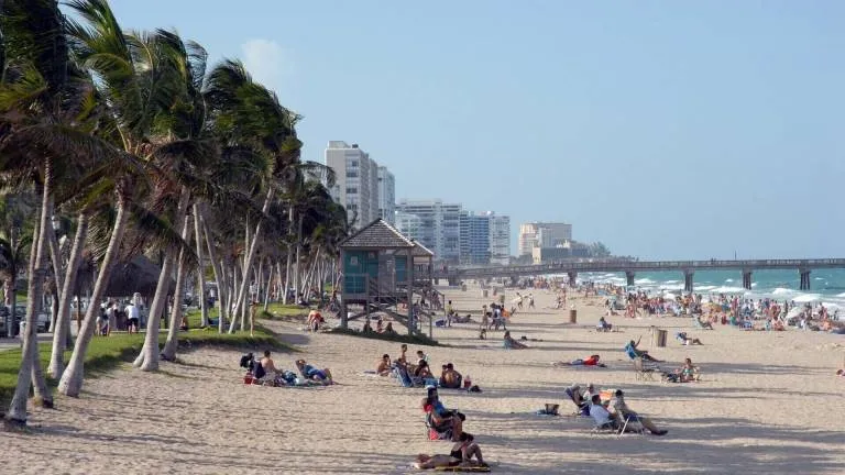 Deerfield Beach Art Walk