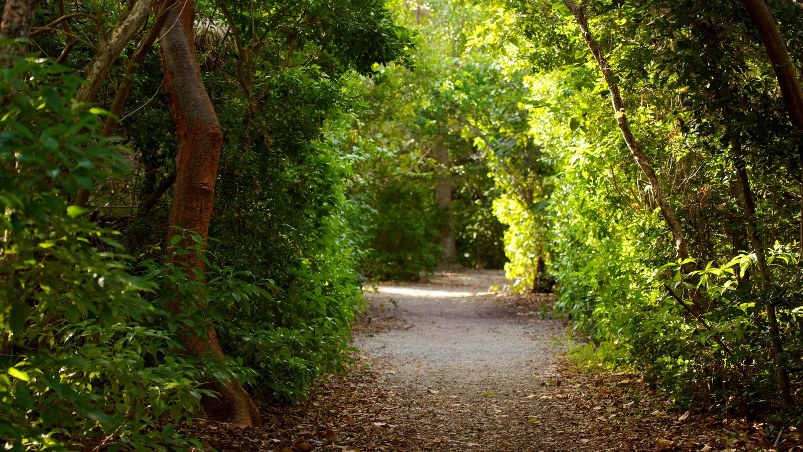 Hugh Taylor Birch State Park