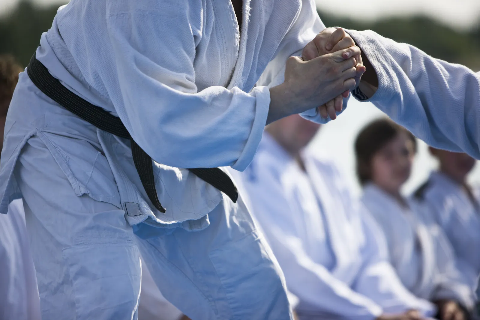 jiu jitsu sports in palm coast jiu jitsu in palm coast bjj in palm coast