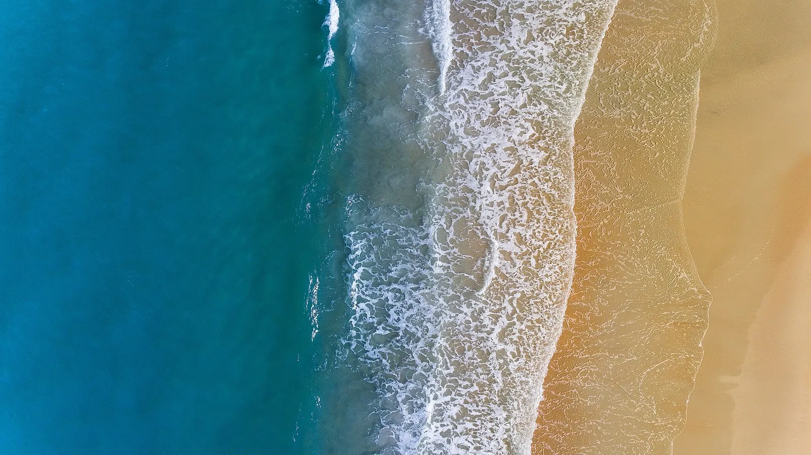 Aerial view of waves along a Palm Coast beach