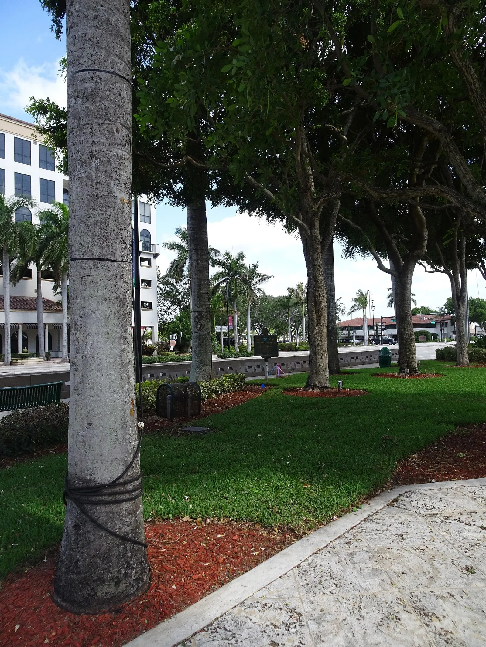 Boca Raton Night Market Returns October 1